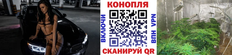 Купить ГАШ  МАРИХУАНА  APVP  Меф мяу мяу  Камышлов