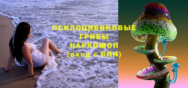мдпв Иннополис