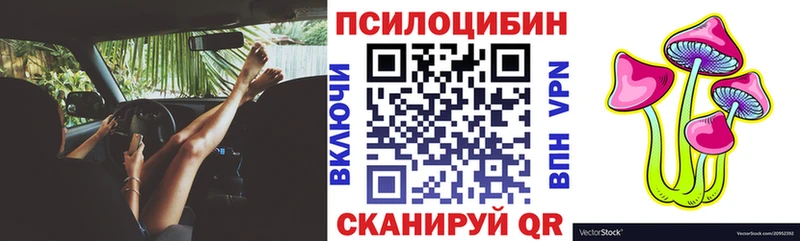Галлюциногенные грибы Psilocybine cubensis  Купить  Камышлов 